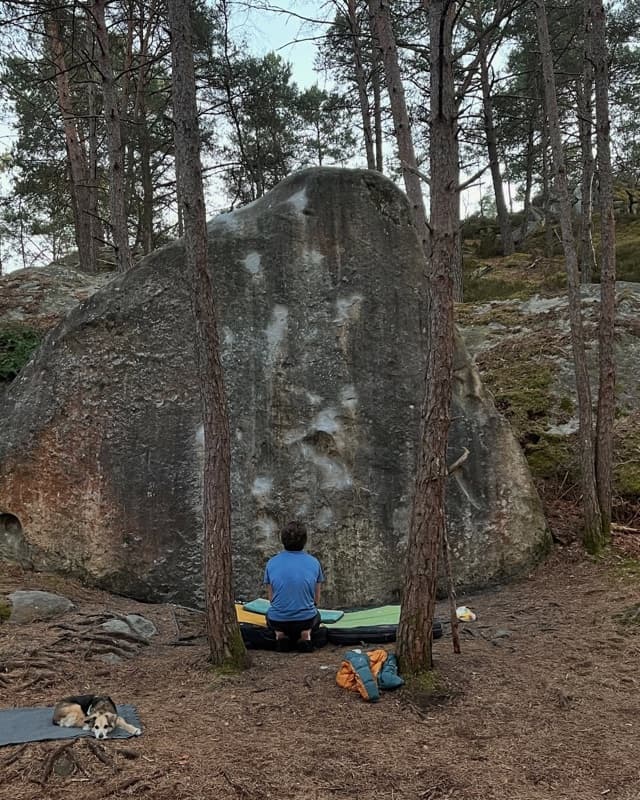 Cățărător stând în fața unui boulder de gresie la Fontainebleau, cu un câine